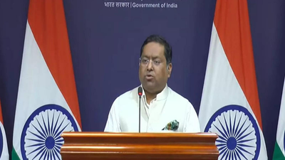 1762530573 unnamed file.jpg