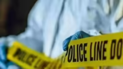 1762550435 untitled design 26.jpg