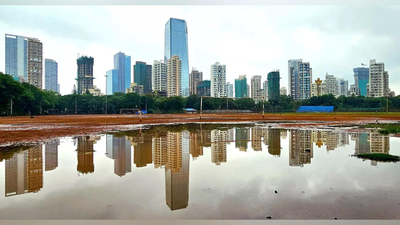 1762599964 untitled design 25.jpg