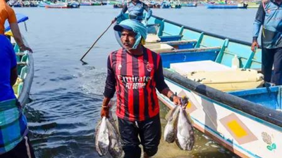 1762625973 unnamed file.jpg