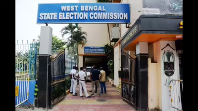 1762719896 pic 8.jpg