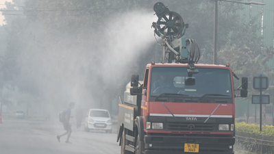 1762730440 untitled design 19.jpg