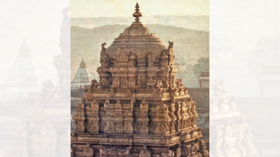 1762737718 pic 46.jpg