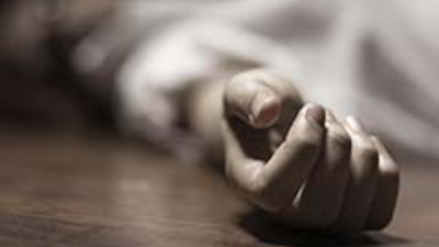 1762806146 pic 51.jpg