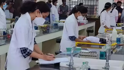 1762815528 untitled design 31.jpg