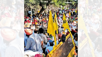 1762818723 untitled design 39.jpg