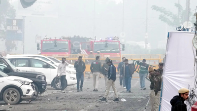 1762833049 unnamed file.jpg