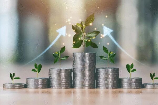 1762859905 unnamed file.jpg