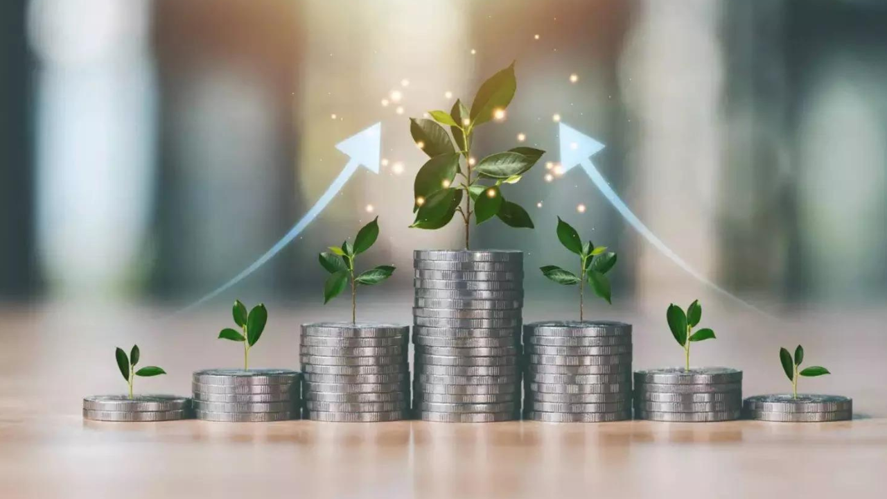 1762859905 unnamed file.jpg