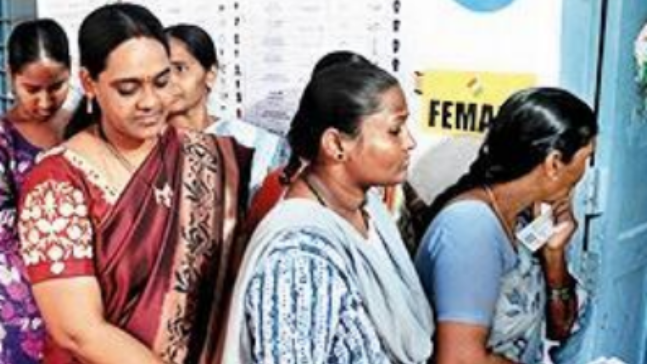 1762889006 pic 3.jpg