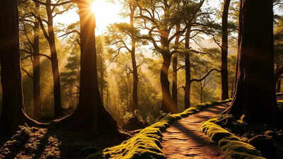 1762894407 unnamed file.jpg