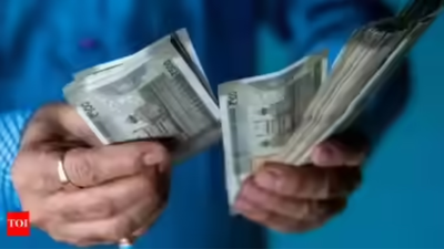 1762970988 unnamed file.jpg