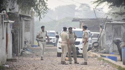 1762974517 unnamed file.jpg