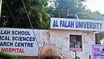 1762983332 unnamed file.jpg