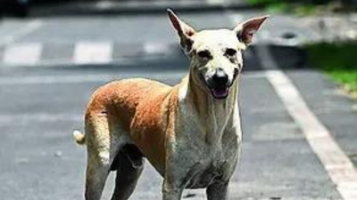 1762985173 unnamed file.jpg