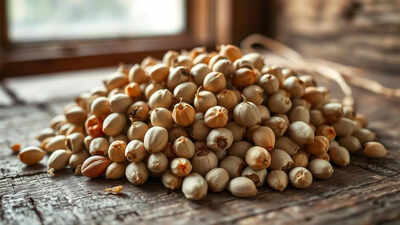 1763052458 unnamed file.jpg