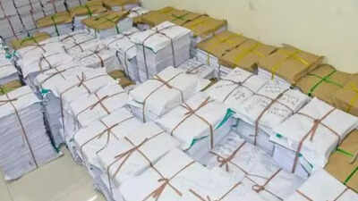 1763069154 unnamed file.jpg