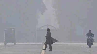 1763076034 unnamed file.jpg