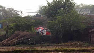 1763076338 unnamed file.jpg