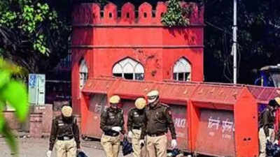 1763079088 unnamed file.jpg