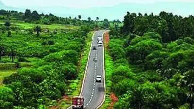 1763083021 unnamed file.jpg