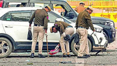 1763085210 unnamed file.jpg