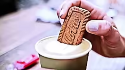 1763086049 untitled design 3.jpg