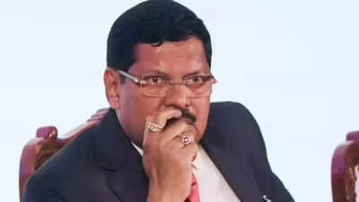 1763160794 unnamed file.jpg