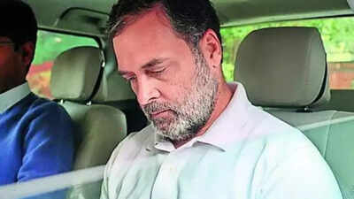 1763242371 unnamed file.jpg