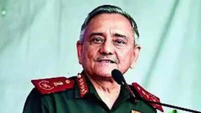 1763260165 unnamed file.jpg