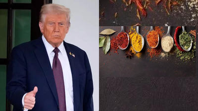 1763273231 donald trump.jpg