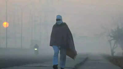 1763313555 representative image.jpg