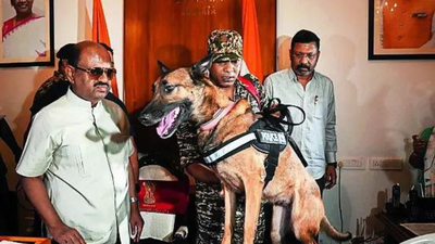 1763409992 unnamed file.jpg