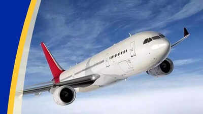 1763451028 untitled design 10.jpg