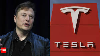 1763493160 unnamed file.jpg