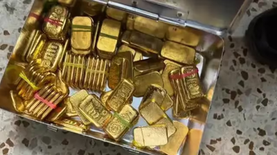 1763548613 pic 42.jpg