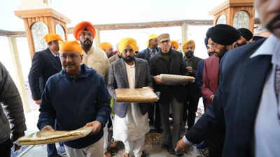 1763576876 unnamed file.jpg