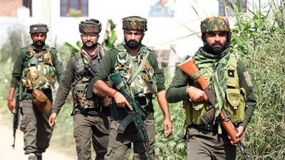 1763579444 representative image.jpg