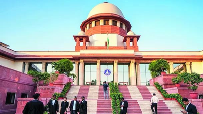 1763593825 unnamed file.jpg