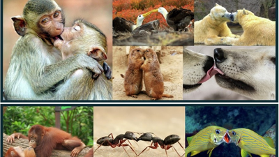 1763688845 unnamed file.jpg