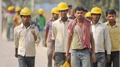 1763763020 representative image.jpg