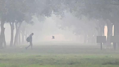 1763793860 unnamed file.jpg