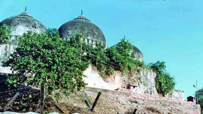 1763826469 unnamed file.jpg