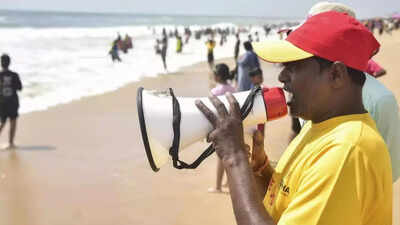 1763892742 unnamed file.jpg