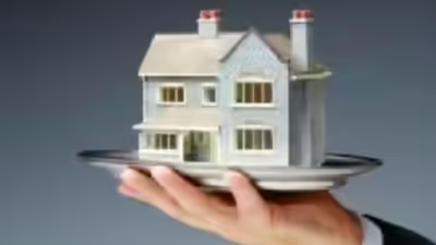 1763926610 unnamed file.jpg