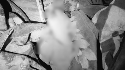 1764040917 unnamed file.jpg