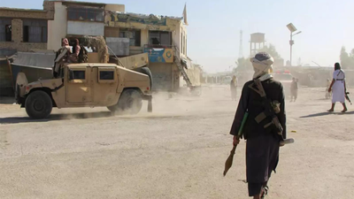 1764077529 untitled design 26.jpg