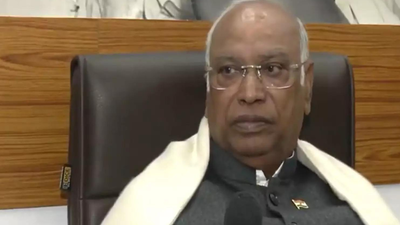 1764202617 unnamed file.jpg