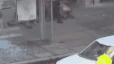 1764222101 unnamed file.jpg