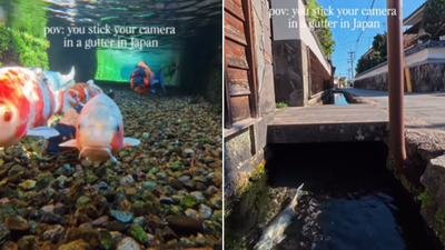 1764241758 unnamed file.jpg